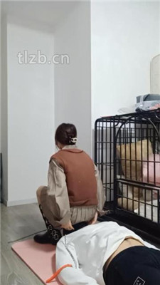 图片[4]-妆主大大】双小视频-高跟碾压踩/坐脸窒息/骑马