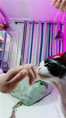 图片[5]-美离子】双S-麻包袋囚禁虐打贱奴