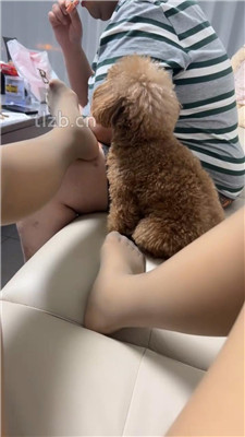 图片[7]-冰色】闻舔主人的原味肉丝jio