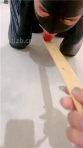 【周舟】全包强制犬化训练_绳艺资料库