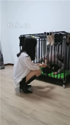 【凌儿】狗笼圈养囚禁生活_绳艺资料库