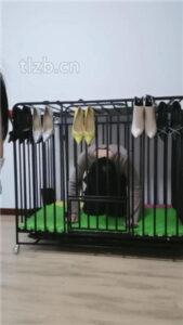 【凌儿女神】白领S_绳艺资料库