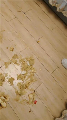 图片[8]-樱樱】双S-俄罗斯混血S-踩面包-踩狗四】