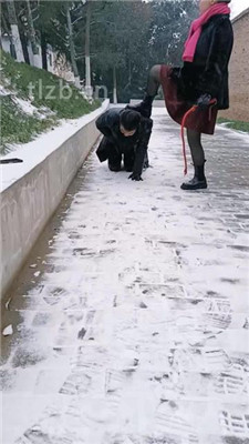 图片[2]-乐爷】野外-冰天雪地-遛狗虐待