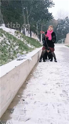 图片[7]-乐爷】野外-冰天雪地-遛狗虐待