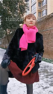 图片[9]-乐爷】野外-冰天雪地-遛狗虐待