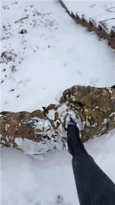 图片[10]-辣姐】冰天雪地公开处刑惩罚狗