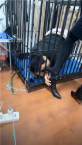 【冰色】狗笼圈养跪舔高跟原味脚_绳艺资料库视频资源下载