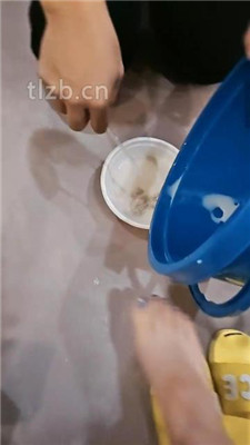 图片[14]-嘉妮】贝壳头肉丝脚踩虐/伺候沐足