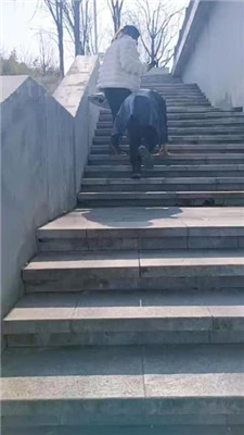 图片[4]-乐爷】河边惩罚犯错的家奴