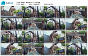 【半岛束艺】澡堂的第五位客人~布玛_绳艺资料库