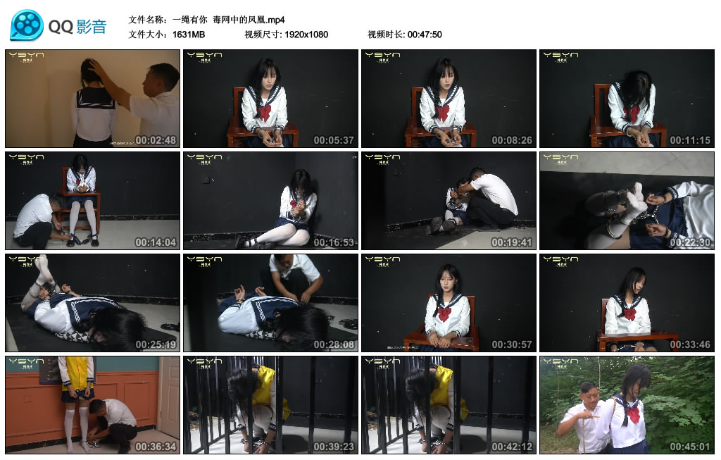 【一绳有你】毒网中的凤凰_绳艺资料库视频资源下载