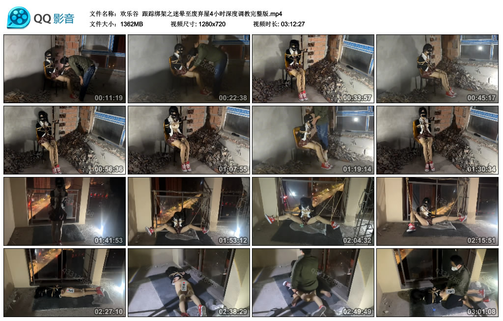 【欢乐谷】跟踪绑架之迷晕至废弃屋4小时深度调教完整版_绳艺资料库视频资源下载
