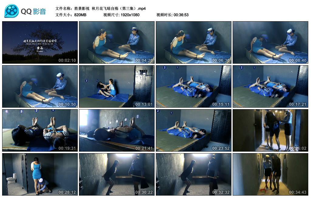 【胜景影视】 秋月花飞暗自殇（第三集）_绳艺资料库视频资源下载