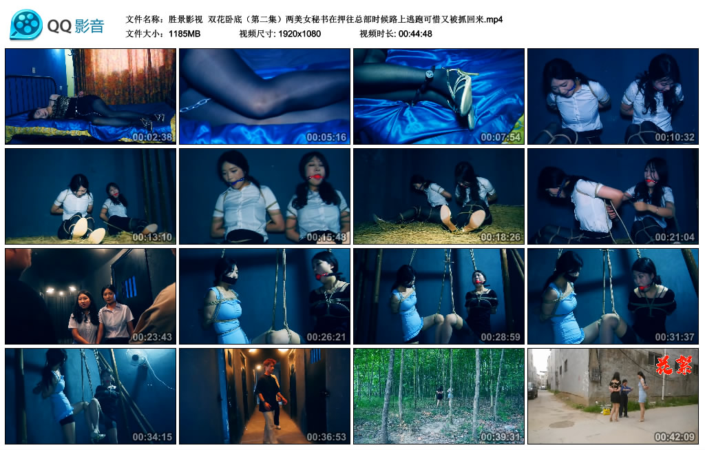 【胜景影视】 双花卧底（第二集）_绳艺资料库视频资源下载