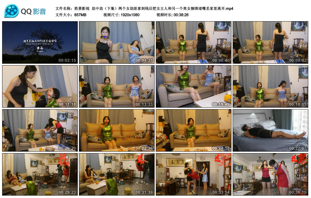【胜景影视】 劫中劫（下集）_绳艺资料库视频资源下载