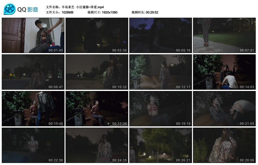 小区遛猫~泽爱_绳艺资料库